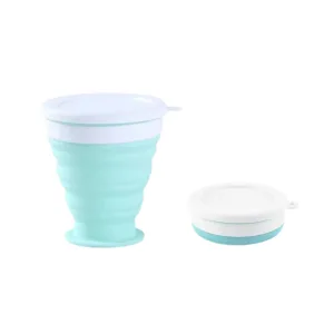collapsible cup
