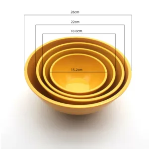 Mixing Bowls with Lids